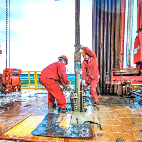 What is the difference between low-viscosity polyanionic cellulose with different purities in drilling applications?
