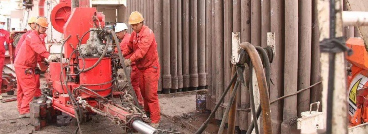 difference|low-viscosity|polyanionic cellulose|different purities|drilling applications-Lude  Chem